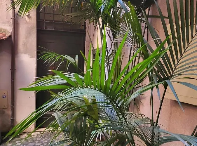 The Rabbit Hole Ρώμη