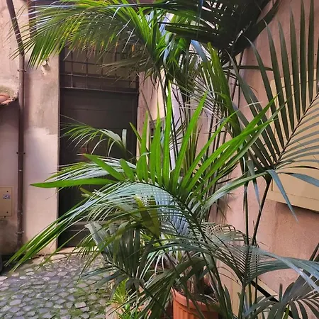 The Rabbit Hole רומא